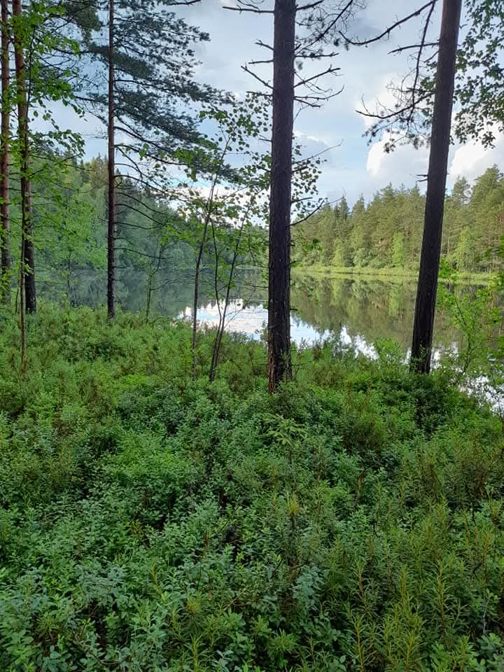vennalampi, kouvola, valkeala