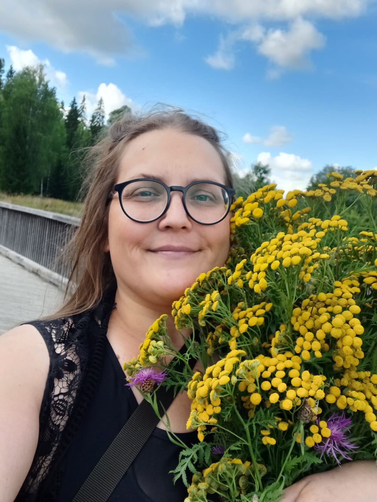 Hiidetär, pietaryrtti, nappikukka, suomenrohtokasvit, kuonnonrohdot